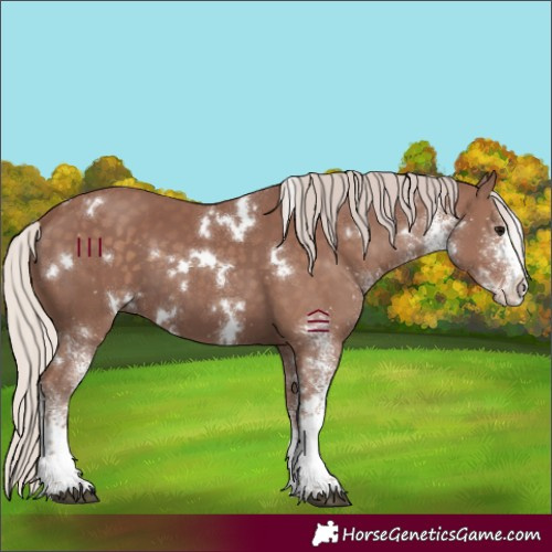 Horse Color:White Spotted Chocolate Silver Black