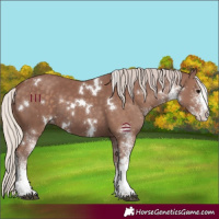 Horse Color:White Spotted Chocolate Silver Black 
