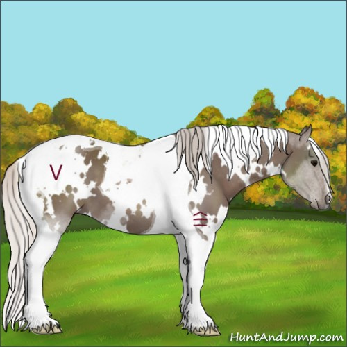 Horse Color:White Spotted Silver Black Tobiano