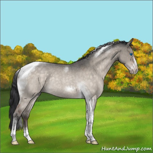 Horse Color:Brown Roan Dun Tobiano Frame Rabicano 