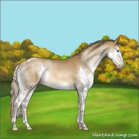Horse Color:Chocolate Palomino Sabino Splash Tobiano Rabicano