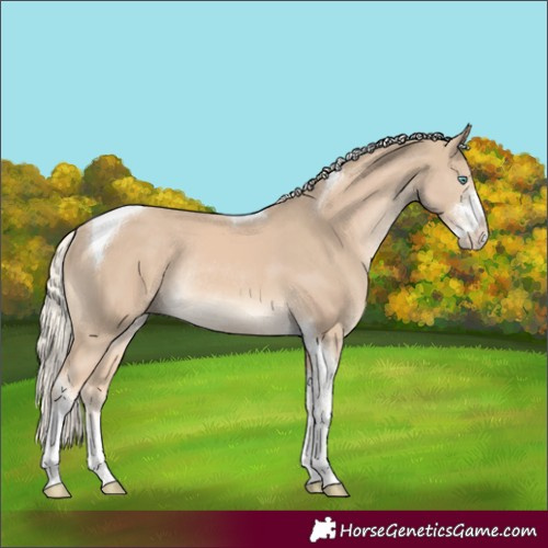 Horse Color:Cremello Sabino Tobiano Rabicano