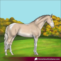 Horse Color:Cremello Sabino Tobiano Rabicano