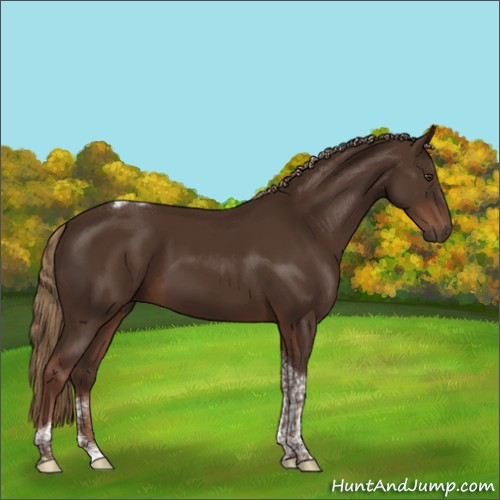 Horse Color:Liver Chestnut Tobiano Rabicano 