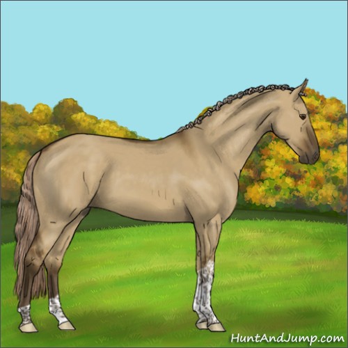 Horse Color:Chocolate Palomino Dun Tobiano Rabicano