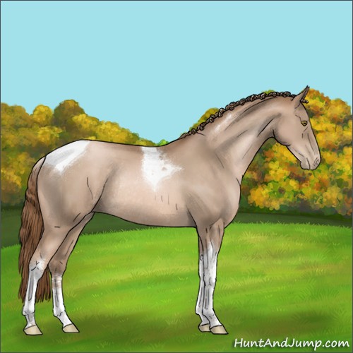 Horse Color:Liver Chestnut Pearl Sabino Tobiano Rabicano