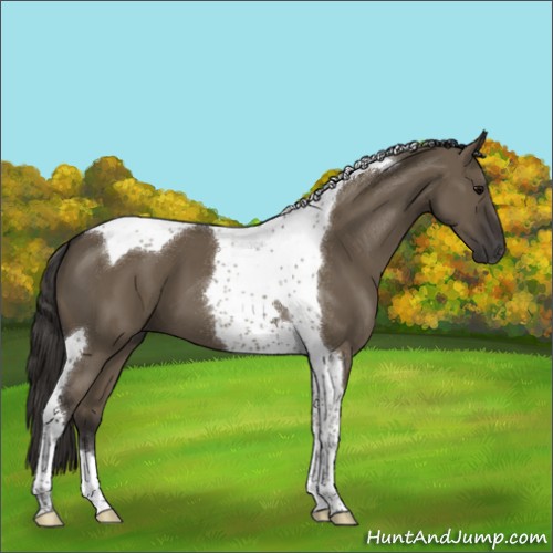 Horse Color:Smoky Grullo Tobiano