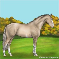 Horse Color:White Spotted Chocolate Palomino Pearl Tobiano Rabicano 