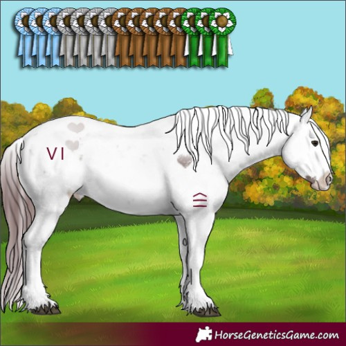 Horse Color:Chocolate Black Sabino