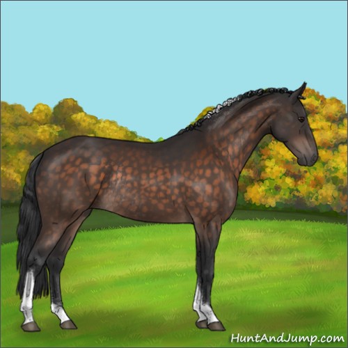 Horse Color:Brown Sabino Tobiano Rabicano