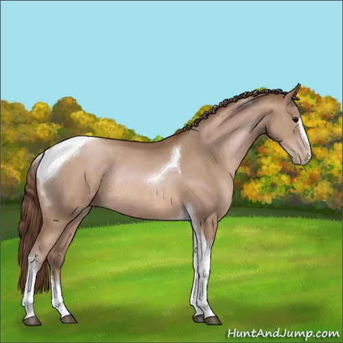 Horse Color:Brown Pearl Sabino Tobiano Rabicano 