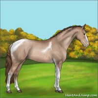Horse Color:Brown Pearl Sabino Tobiano Rabicano
