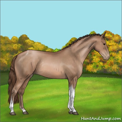 Horse Color:Brown Pearl Tobiano Rabicano 
