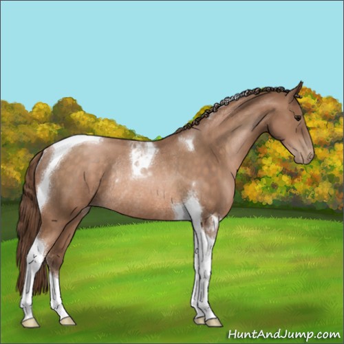 Horse Color:Brown Pearl Tobiano Rabicano 