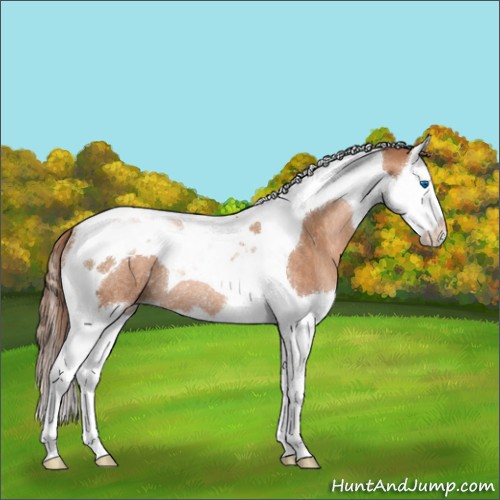 Horse Color:Brown Pearl Splash Tobiano Rabicano 
