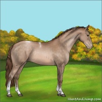 Horse Color:Brown Pearl Tobiano Rabicano