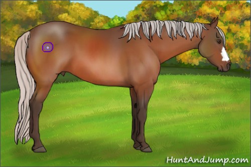 Horse Color:Silver Brown