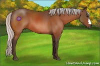 Horse Color:Silver Brown 
