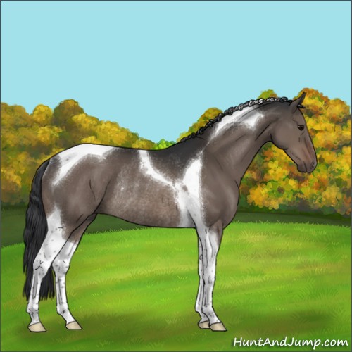 Horse Color:Brown Dun Sabino Tobiano Rabicano