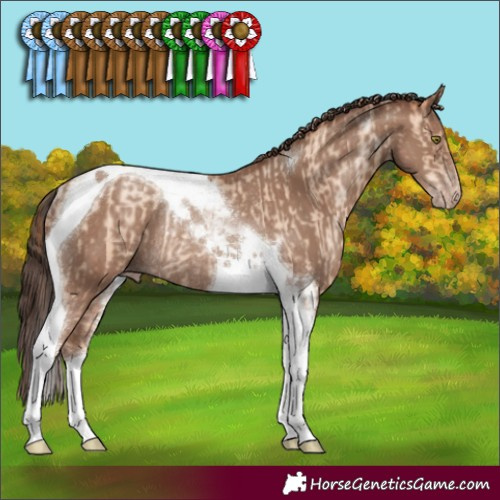 Horse Color:Classic Champagne Pearl Tobiano Rabicano  and Classic Champagne Tobiano Rabicano 