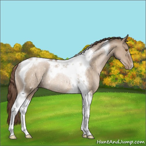 Horse Color:Brown Pearl Dun Tobiano Rabicano