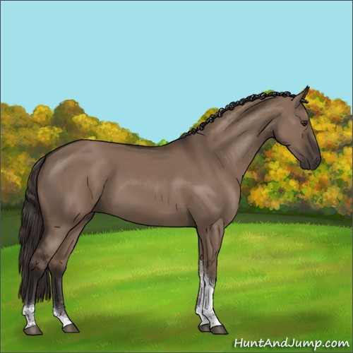 Horse Color:Liver Red Dun Sabino Tobiano Rabicano