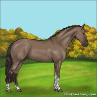 Horse Color:Liver Red Dun Sabino Tobiano Rabicano 