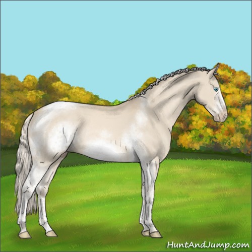 Horse Color:Cremello Dun Sabino Tobiano Frame Rabicano 