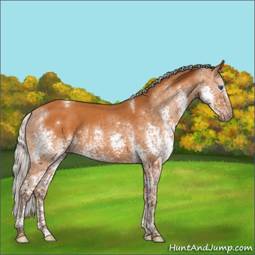 Horse Color:Silver Buckskin Splash Tobiano Rabicano 