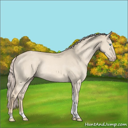 Horse Color:Cremello Dun Tobiano Rabicano