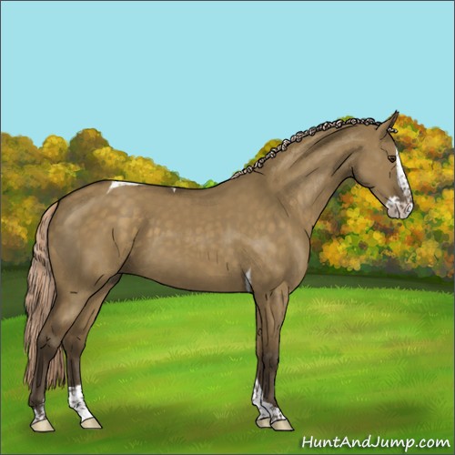 Horse Color:Chocolate Palomino Dun Splash Tobiano Rabicano
