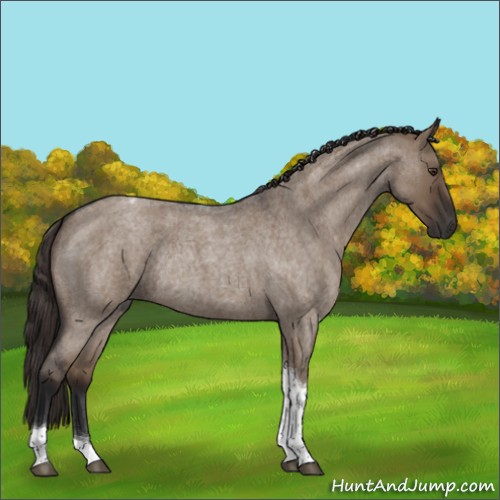 Horse Color:Liver Red Dun Roan Tobiano Rabicano