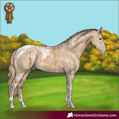Horse Color:Chocolate Palomino Dun Sabino Tobiano and Perlino Sabino Tobiano