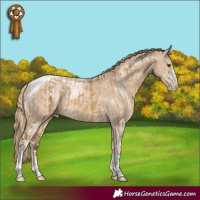 Horse Color:Chocolate Palomino Dun Sabino Tobiano  and Perlino Sabino Tobiano 