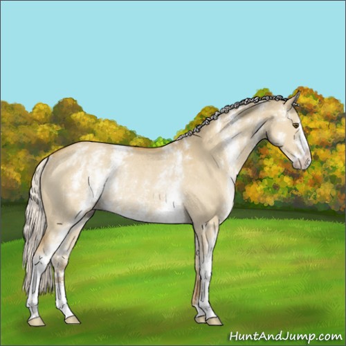 Horse Color:White Spotted Silver Buckskin Dun Sabino Rabicano 