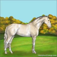Horse Color:White Spotted Silver Buckskin Dun Sabino Rabicano