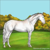 Horse Color:Silver Sable Champagne Pearl Splash Tobiano Rabicano