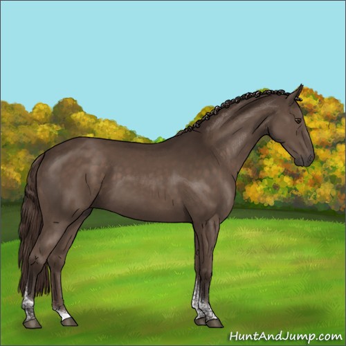 Horse Color:Liver Chestnut Tobiano Rabicano 