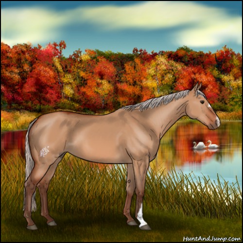 Horse Color:Silver Bay Dun 