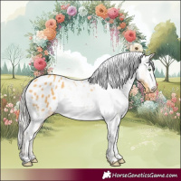 Horse Color:Silver Amber Cream Champagne Appaloosa