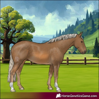 Horse Color:Chocolate Palomino 