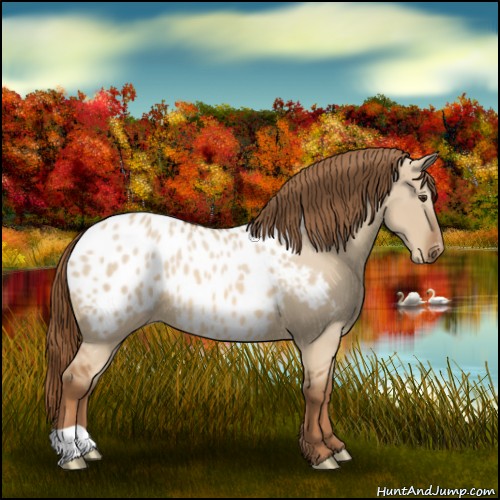 Horse Color:Red Dun Near Leopard 