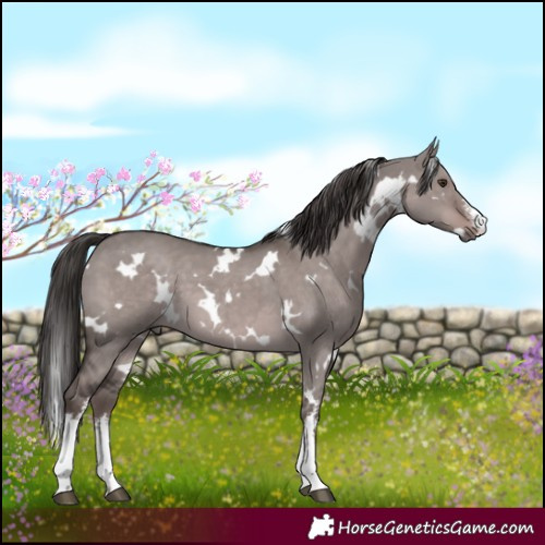 Horse Color:Platinum White Spotted Liver Red Dun