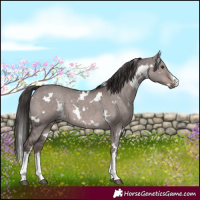 Horse Color:Platinum White Spotted Liver Red Dun