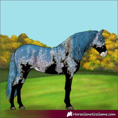 Horse Color:Watercolor White Spotted Brown