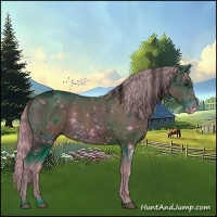Horse Color:ERROR: UNKNOWN ANOMALY