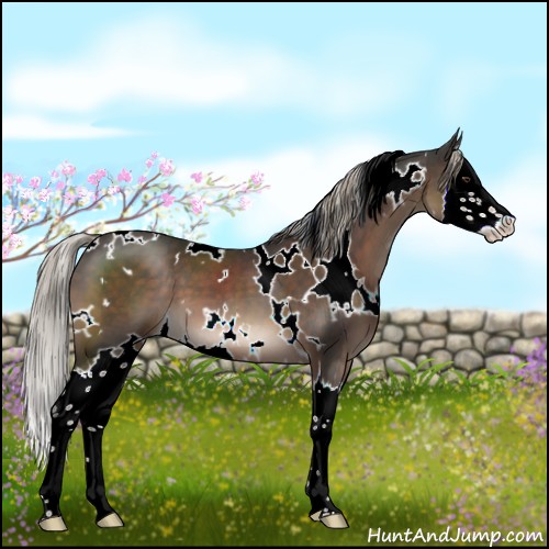 Horse Color:White Spotted Liver Chestnut Mushroom Splash