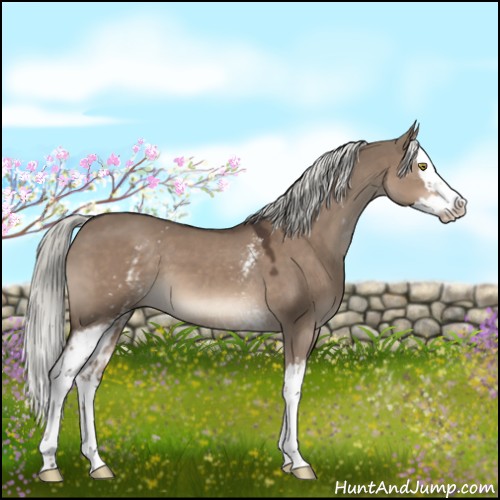 Horse Color:White Spotted Liver Red Dun Mushroom Splash