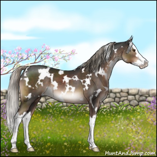 Horse Color:White Spotted Liver Chestnut Mushroom Splash 