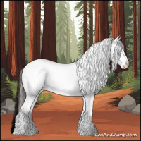 Horse Color:White Spotted Buckskin 